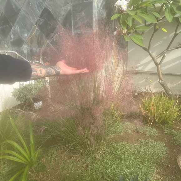 hello :) - Picture 12 of 15